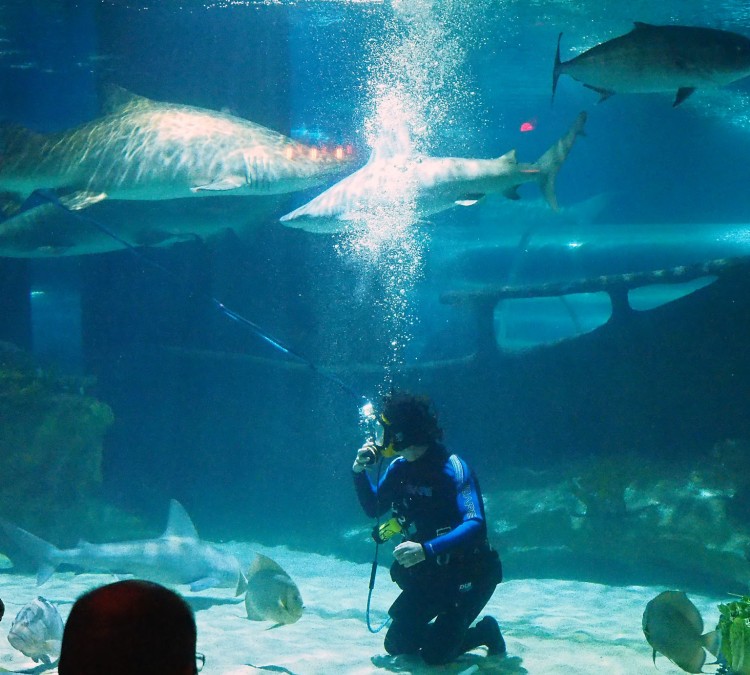 Greater Cleveland Aquarium (Cleveland,&nbspOH)